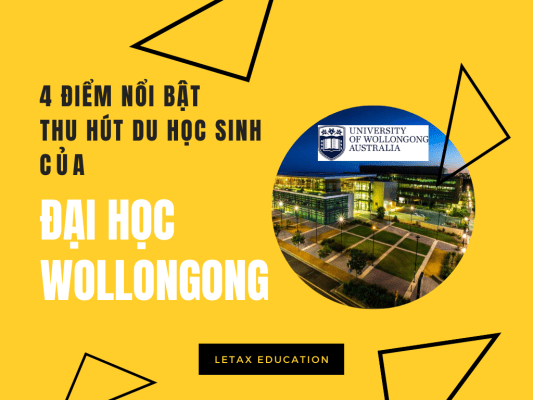 Đại học Wollongong